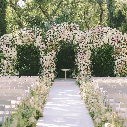 Luxury Blooms Delivered Same Day